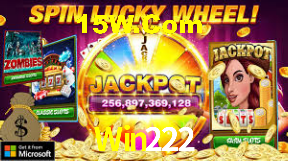 Interface Premium Win222