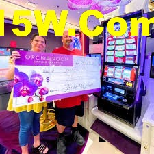 Free Spins Bonus - Lucky Tiger